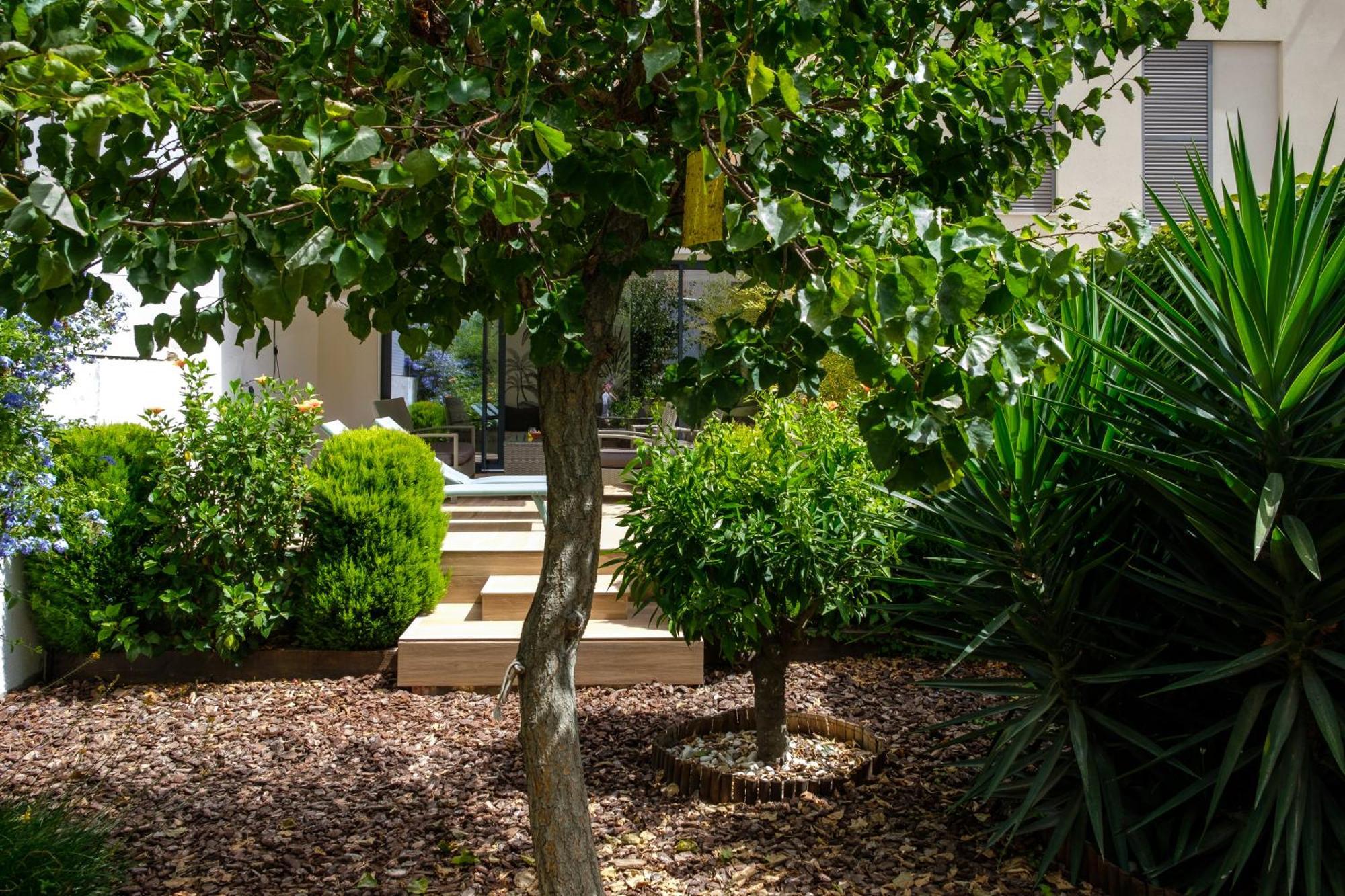 Casa vacanze Bonita Casa Sa Font En Santa Catalina, Palma Centro